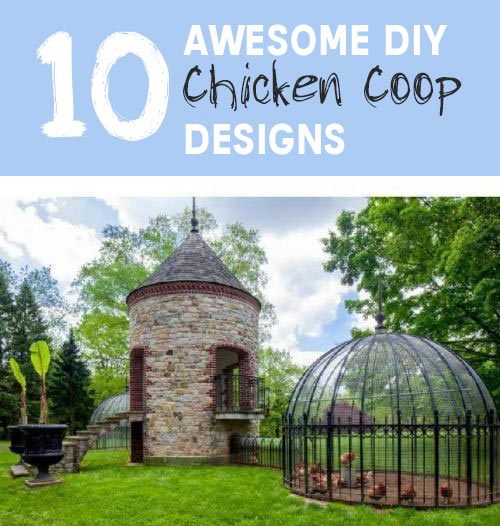 10 Awesome DIY Chicken Coop Designs - Mental Scoop
