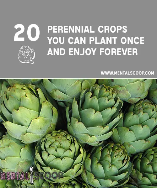 The Everlasting Garden 20 Perennial Crops You Can Plant Once And Enjoy 