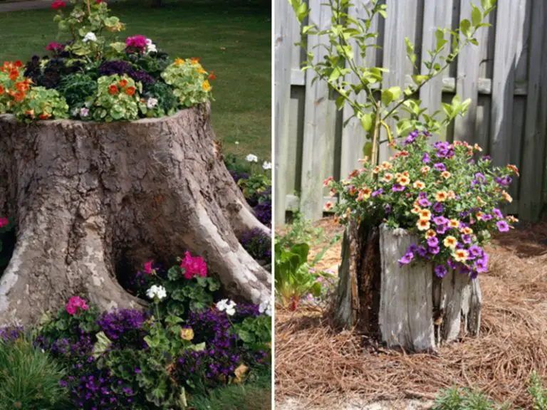 20 Cheap and Awesome Landscaping Projects to Transform Any Garden