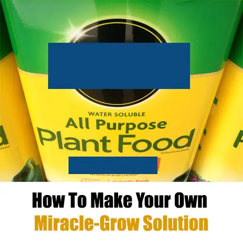 HowToMakeYourOwnMiracleGrowSolution Mental Scoop