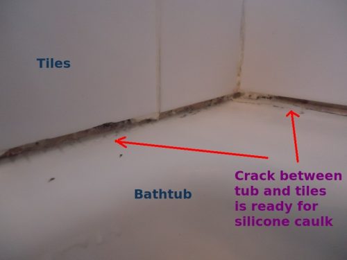 How to Clean Black Mold from Bathroom Sealant - Mental Scoop