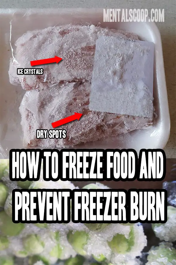 How to Freeze Food and Prevent Freezer Burn Mental Scoop