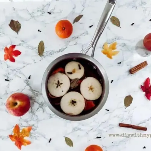 Simmering Potpourri Recipes Mental Scoop