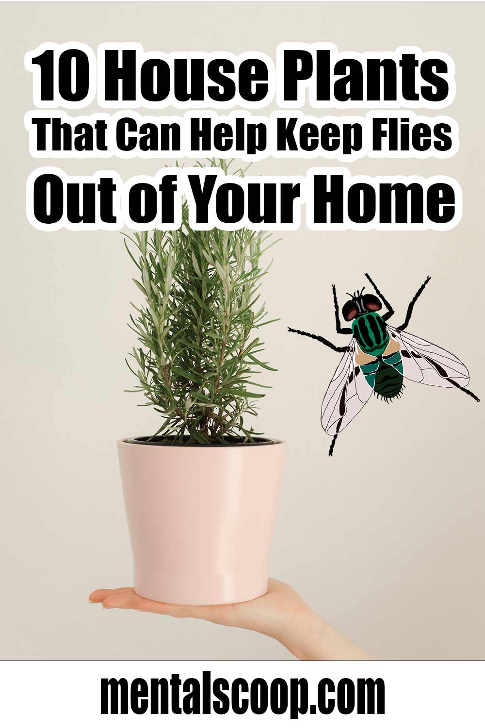10 house plants that can help keep flies out of your home mental scoop