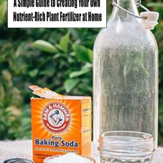 Nutrient-Rich Plant Fertilizer Recipe-image