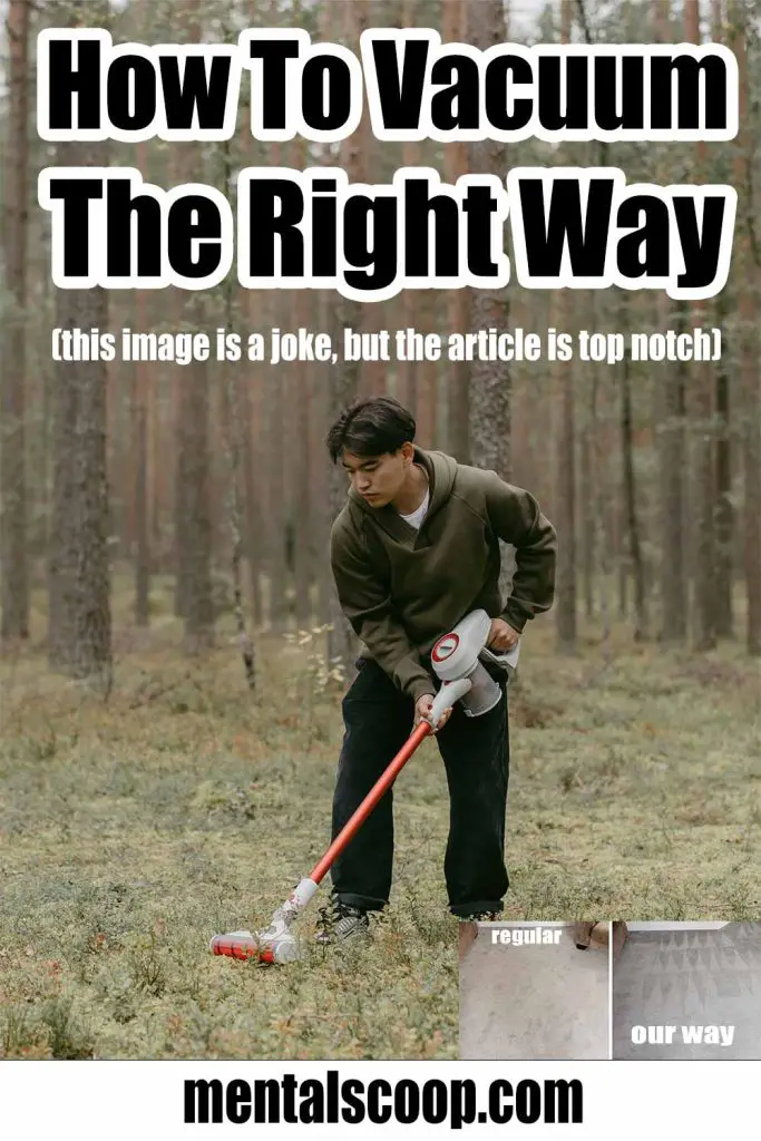 HowToVacuumProperlyTips Mental Scoop