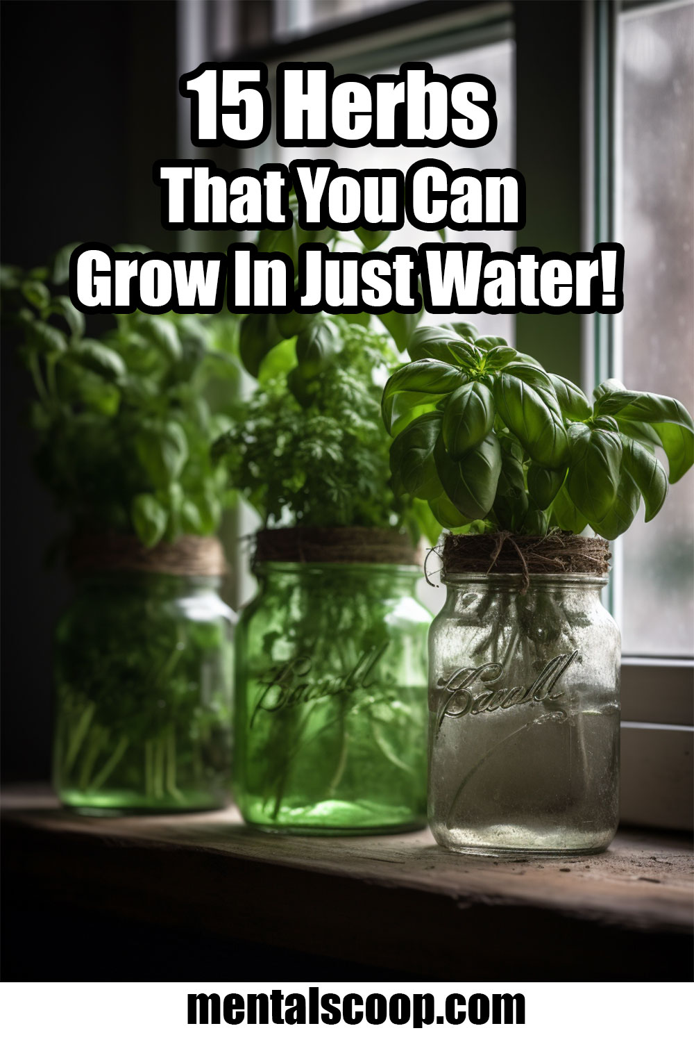 15 Herbs That You Can Grow In Just Water - Mental Scoop
