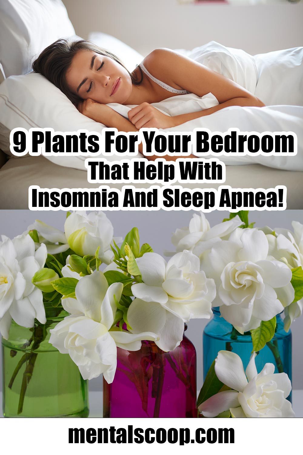 9 Plants For Your Bedroom That Help With Insomnia And Sleep Apnea