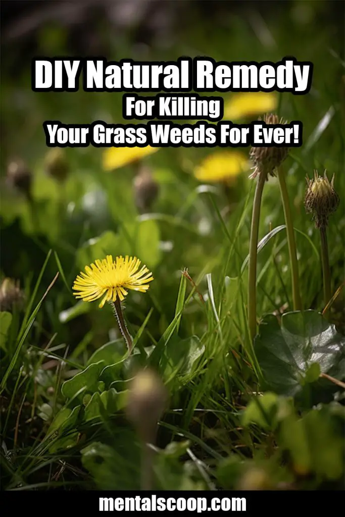 DIY Natural Remedy For Killing Your Grass Weeds For Ever! Mental Scoop