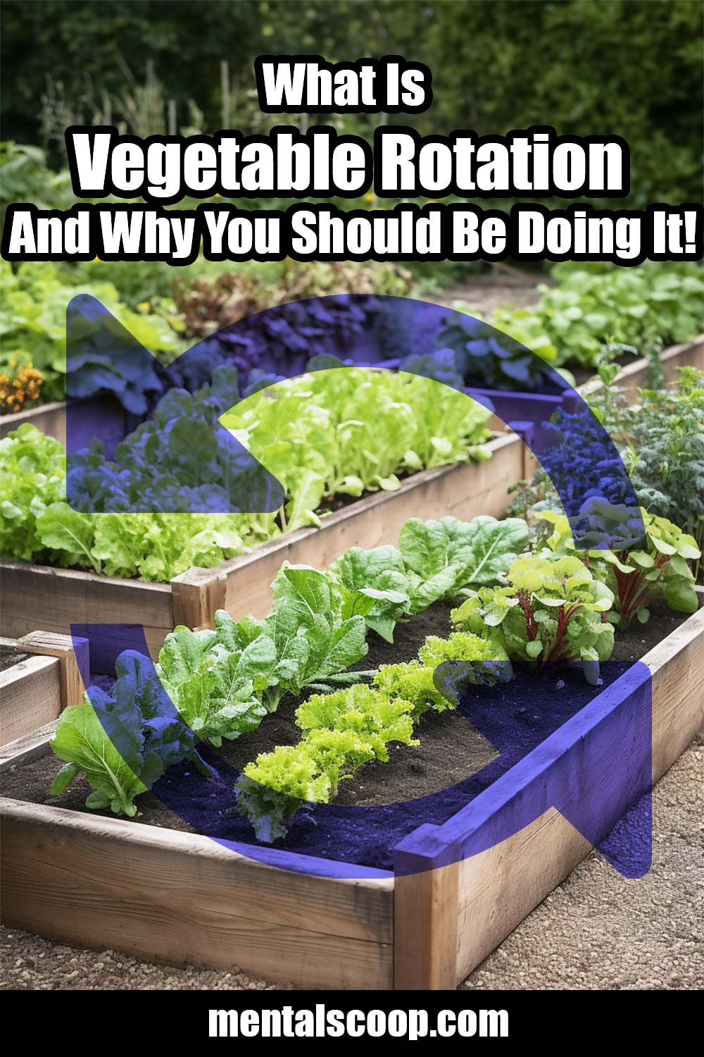 What Is Vegetable Rotation And Why You Should Be Doing It! - Mental Scoop