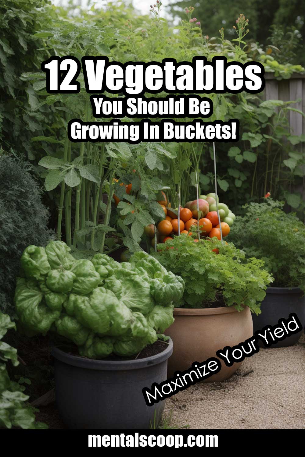 12 Vegetables You Should Be Growing In Buckets! Mental Scoop