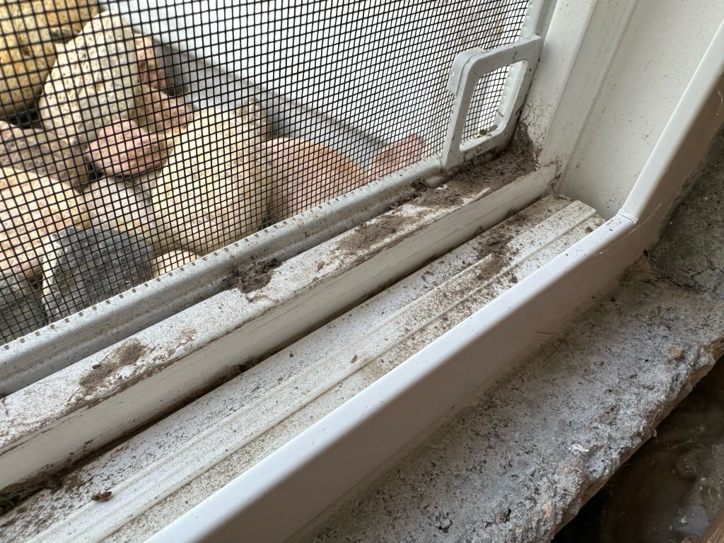 How to Clean Window Tracks 