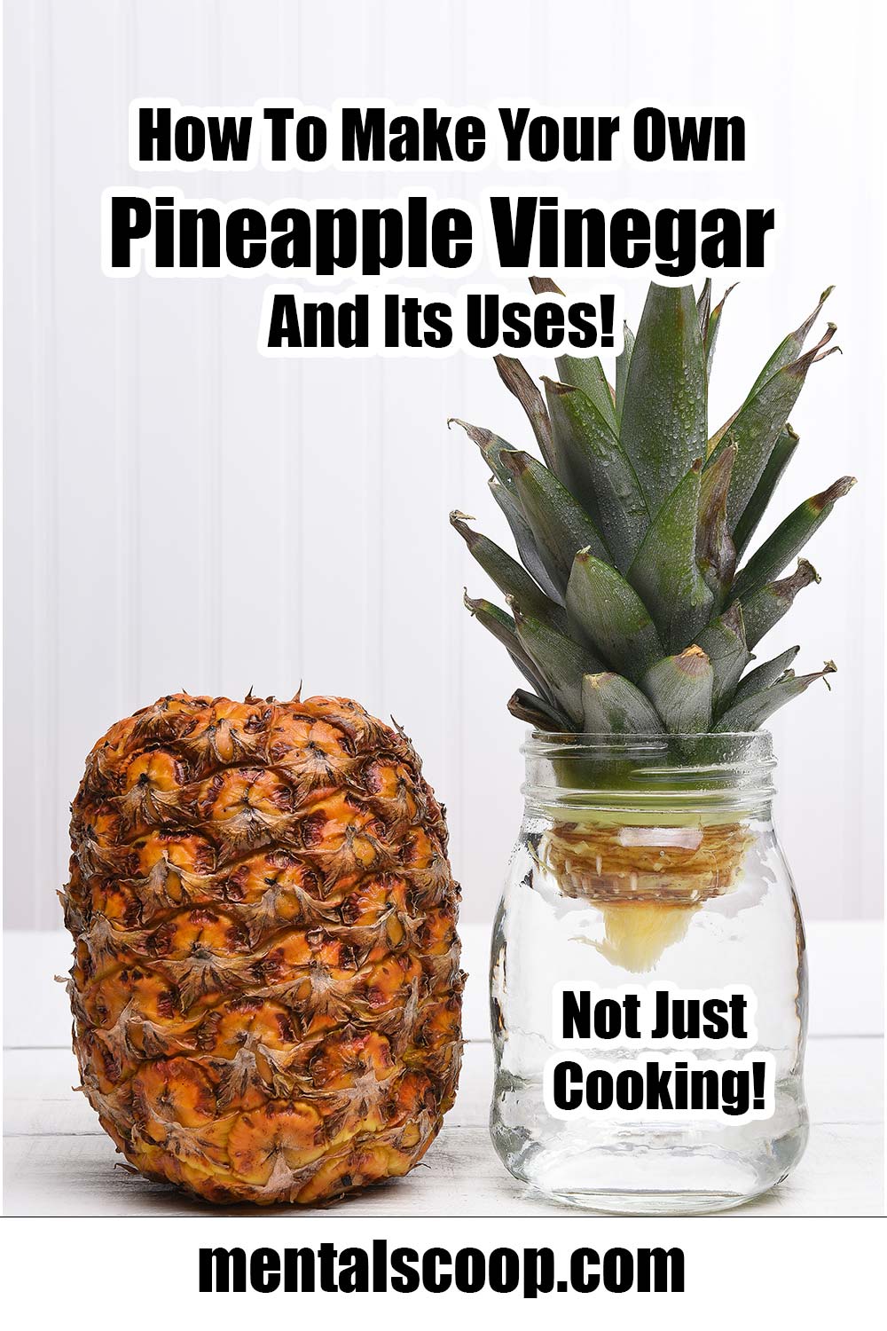 How To Make Pineapple Vinegar & It's Uses! Mental Scoop