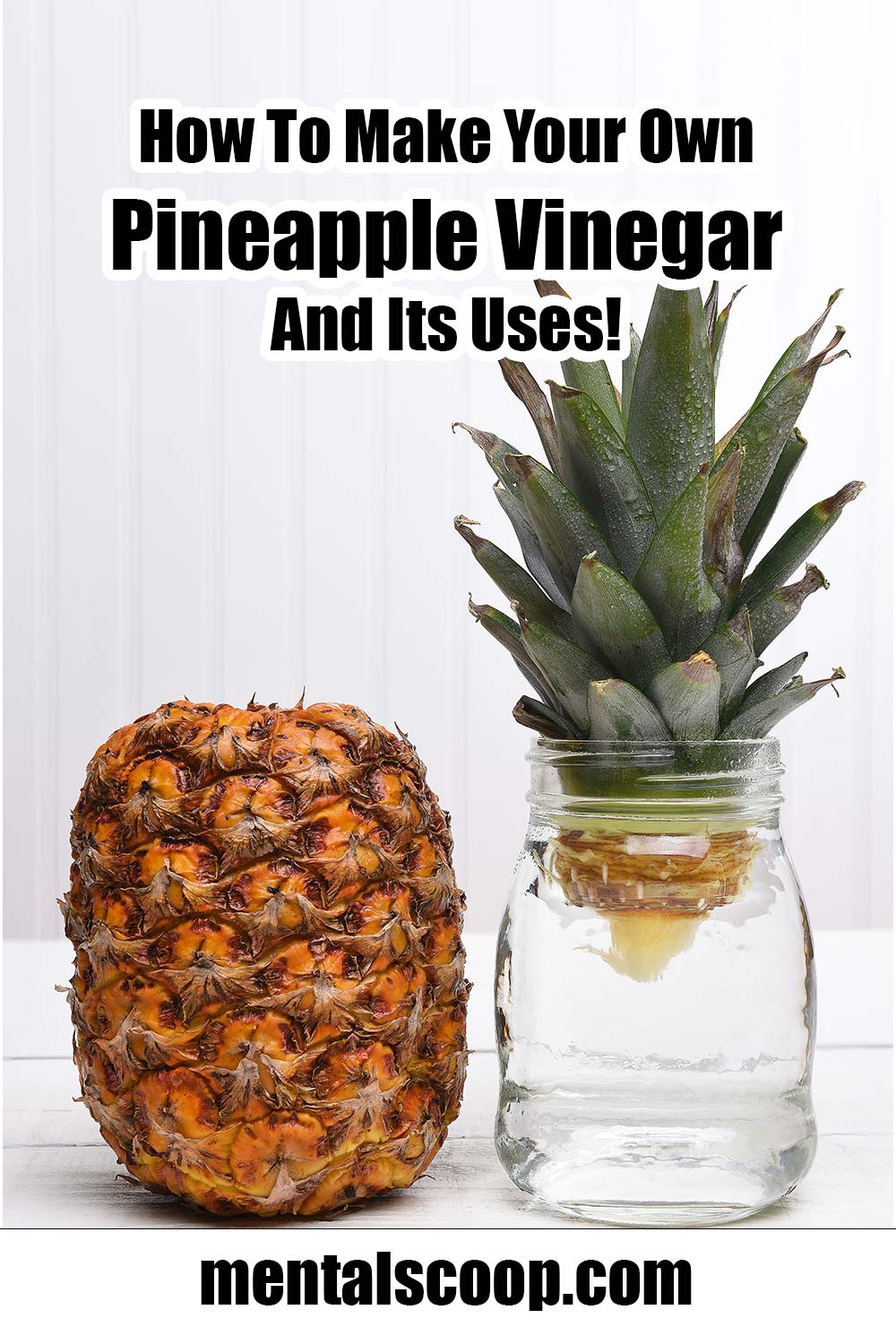 pineapple Mental Scoop