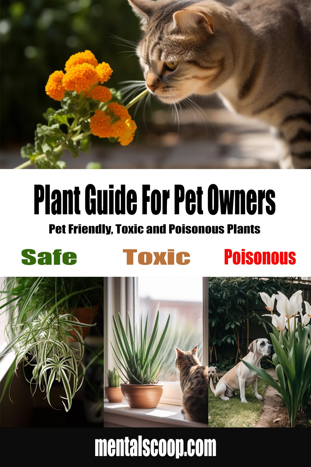 plant-guide-for-pet-owners-mental-scoop