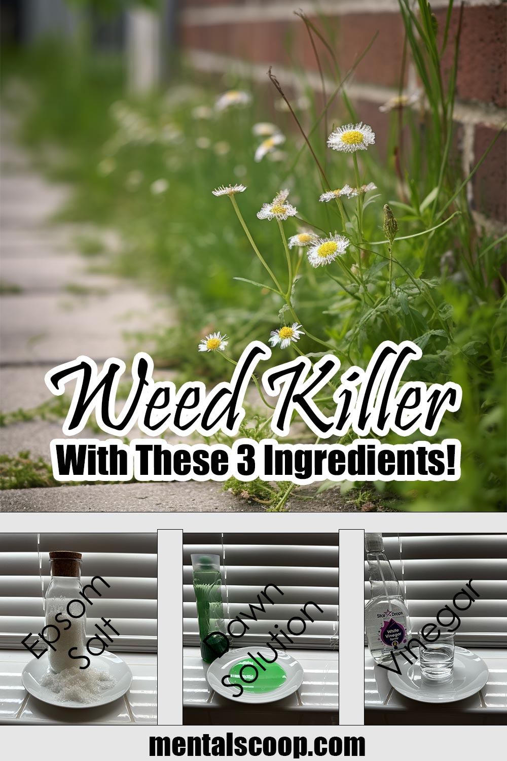 Weed killer with these 3 ingredients mental scoop