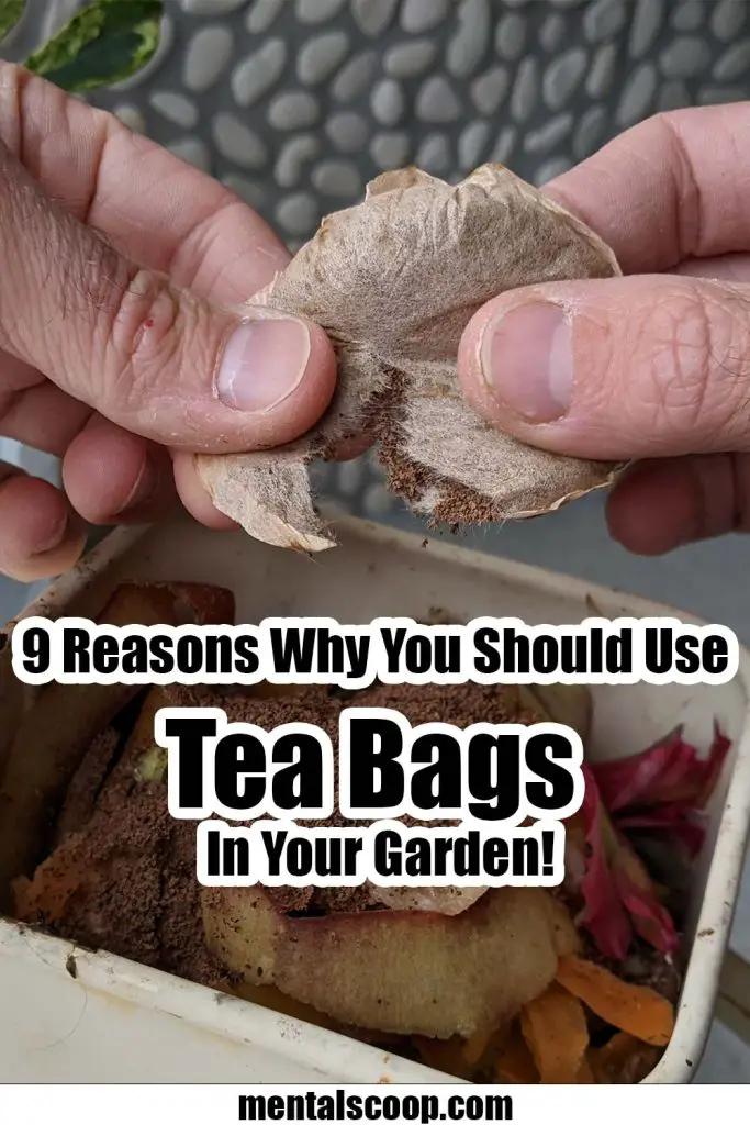 9 Reasons Why You Should Use Tea Bags In Your Garden! Mental Scoop