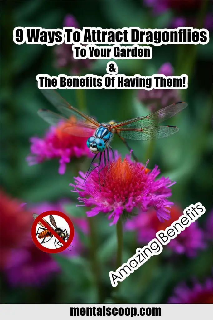 9 Ways To Attract Dragonflies To Your Garden & The Benefits Of Having