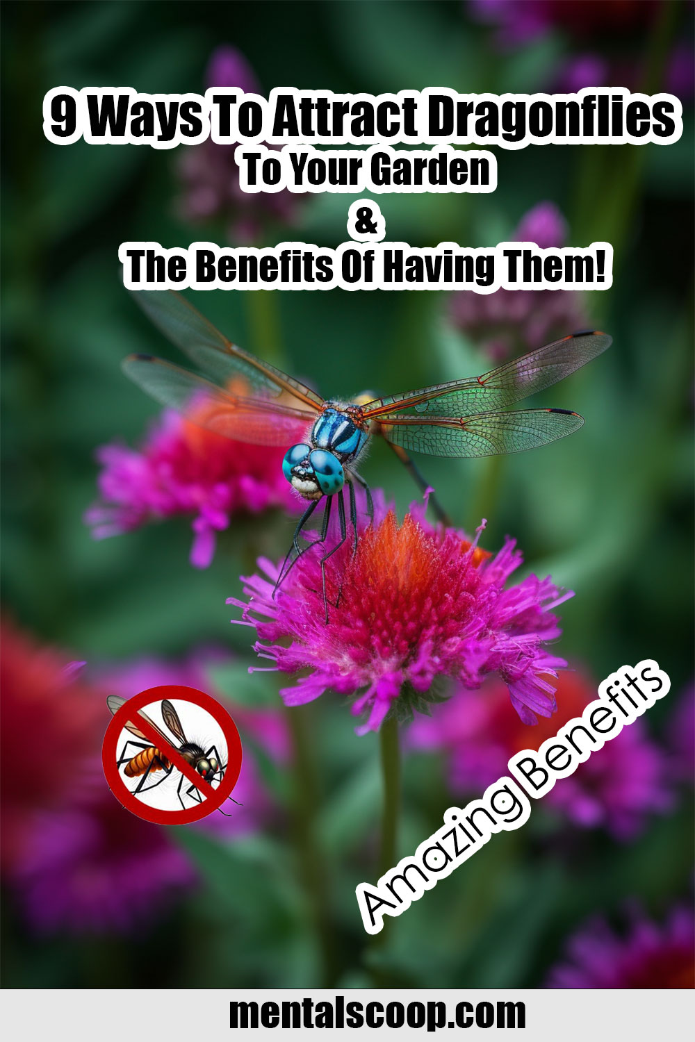 9 Ways To Attract Dragonflies To Your Garden & The Benefits Of Having