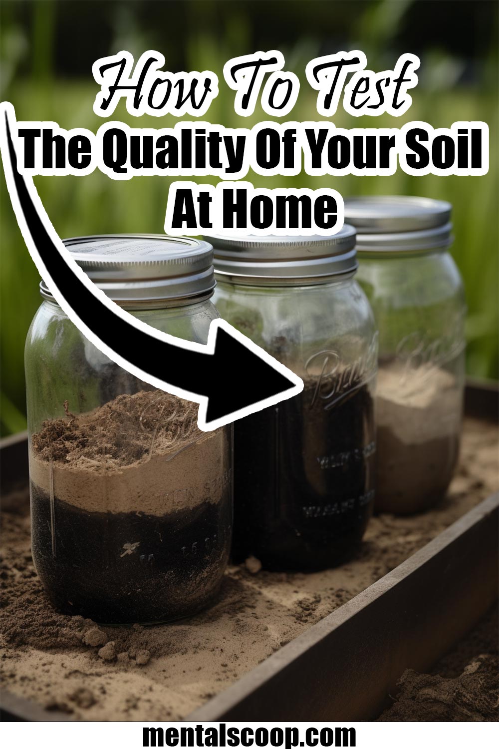 How To Test The Quality Of Your Soil At Home Mental Scoop
