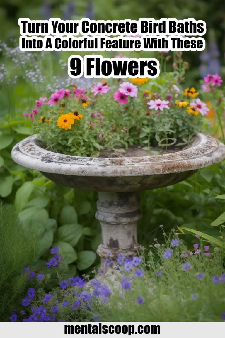Turn Your Concrete Bird Baths Into A Colorful Feature With These 9