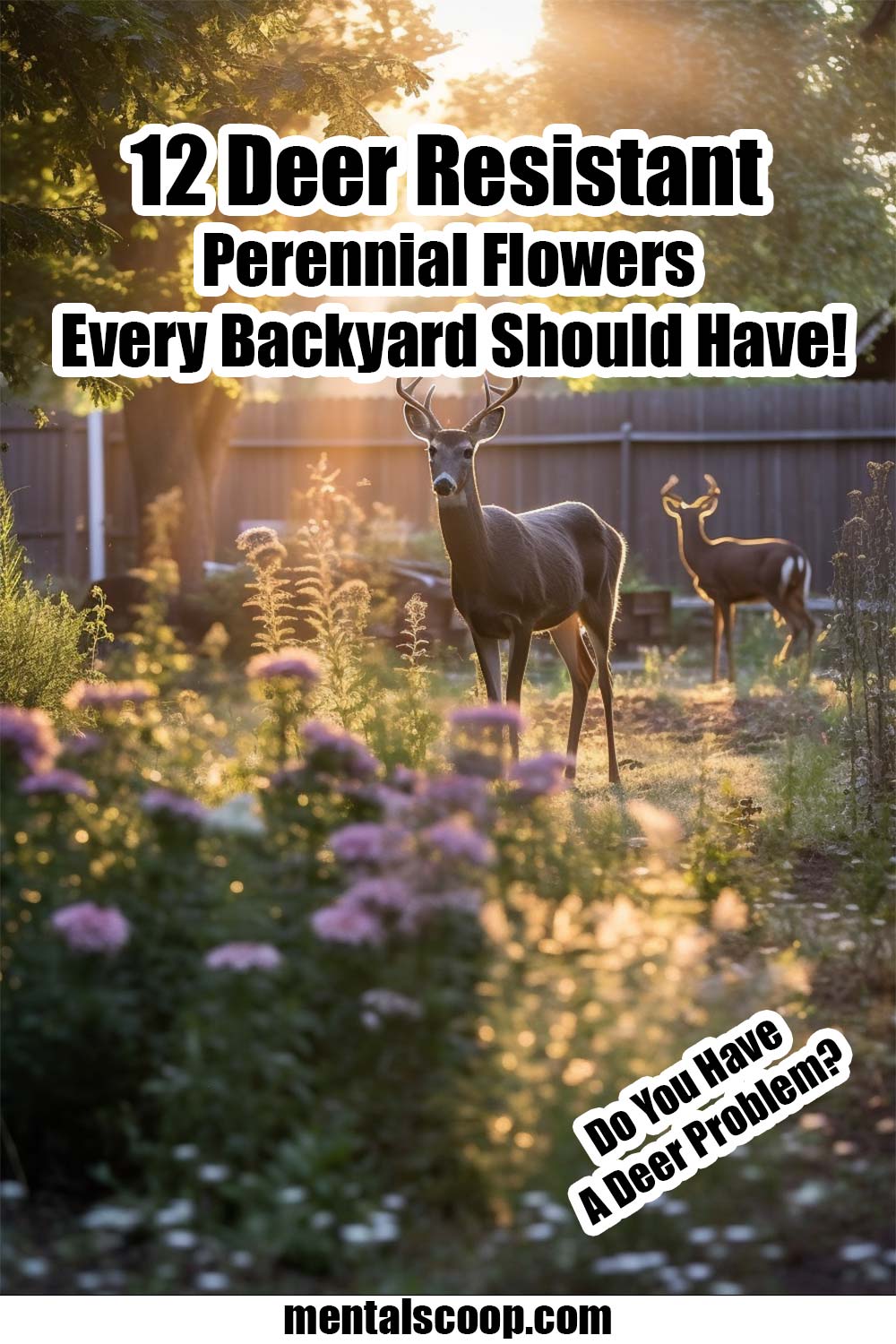 12 Deer Resistant Perennial Flowers Every Backyard Should Have