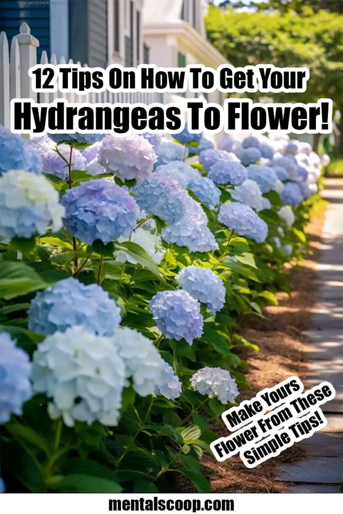 12 Deer Resistant Perennial Flowers Every Backyard Should Have ...