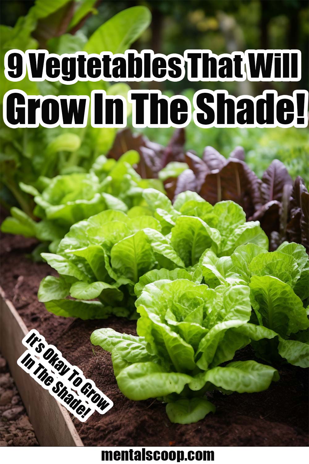 9 Vegetables That Will Grow In The Shade! Mental Scoop