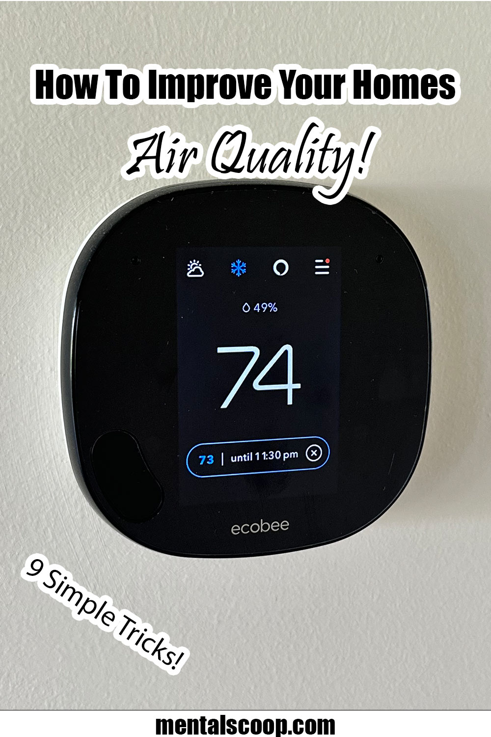 Curated visual reference: Fresh Look at How To Improve Your Homes Air Quality With These Simple