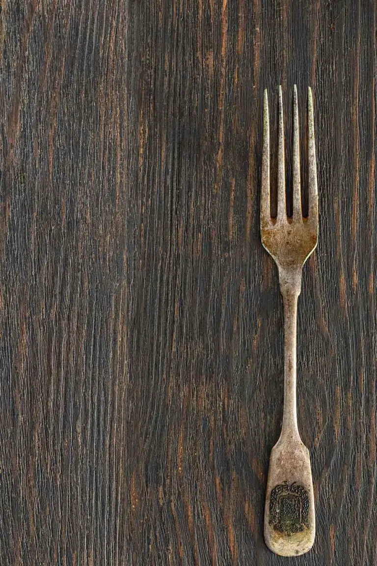 Do You Know The True Name For Fork Prongs & Why There Are 4! Mental Scoop