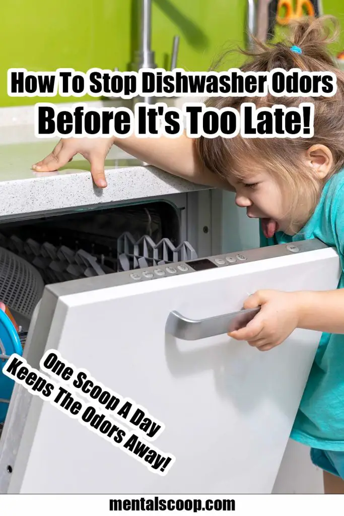 How To Stop Dishwasher Odors Before It's Too Late! Mental Scoop