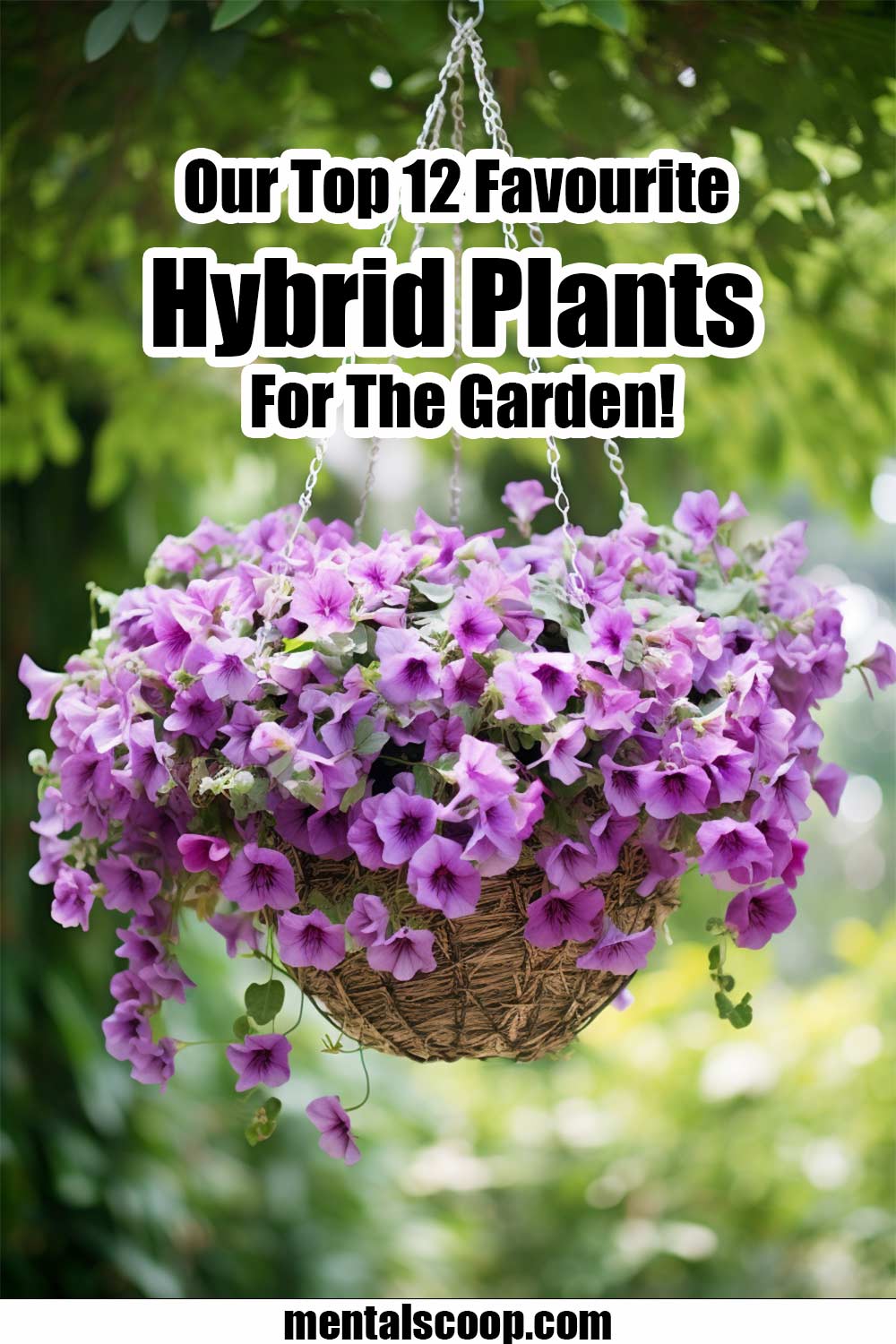OurTop12FavouriteHybridPlantsForTheGarden Mental Scoop