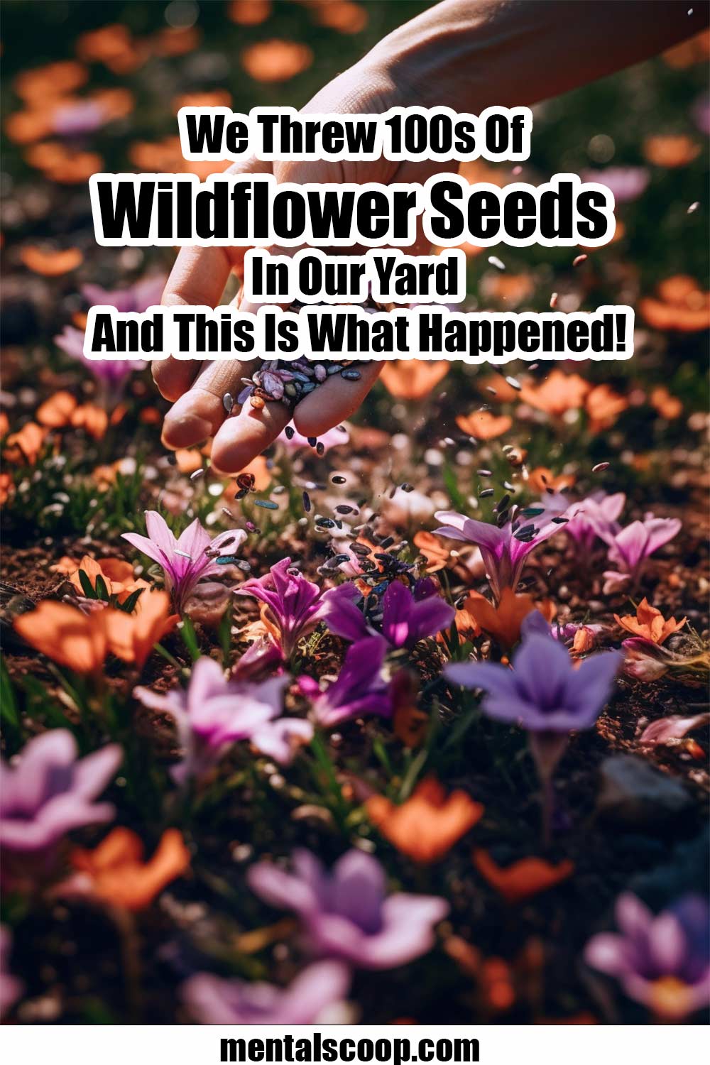 We Threw 100s Of Wildflower Seeds In Our Yard And This Is What Happened ...