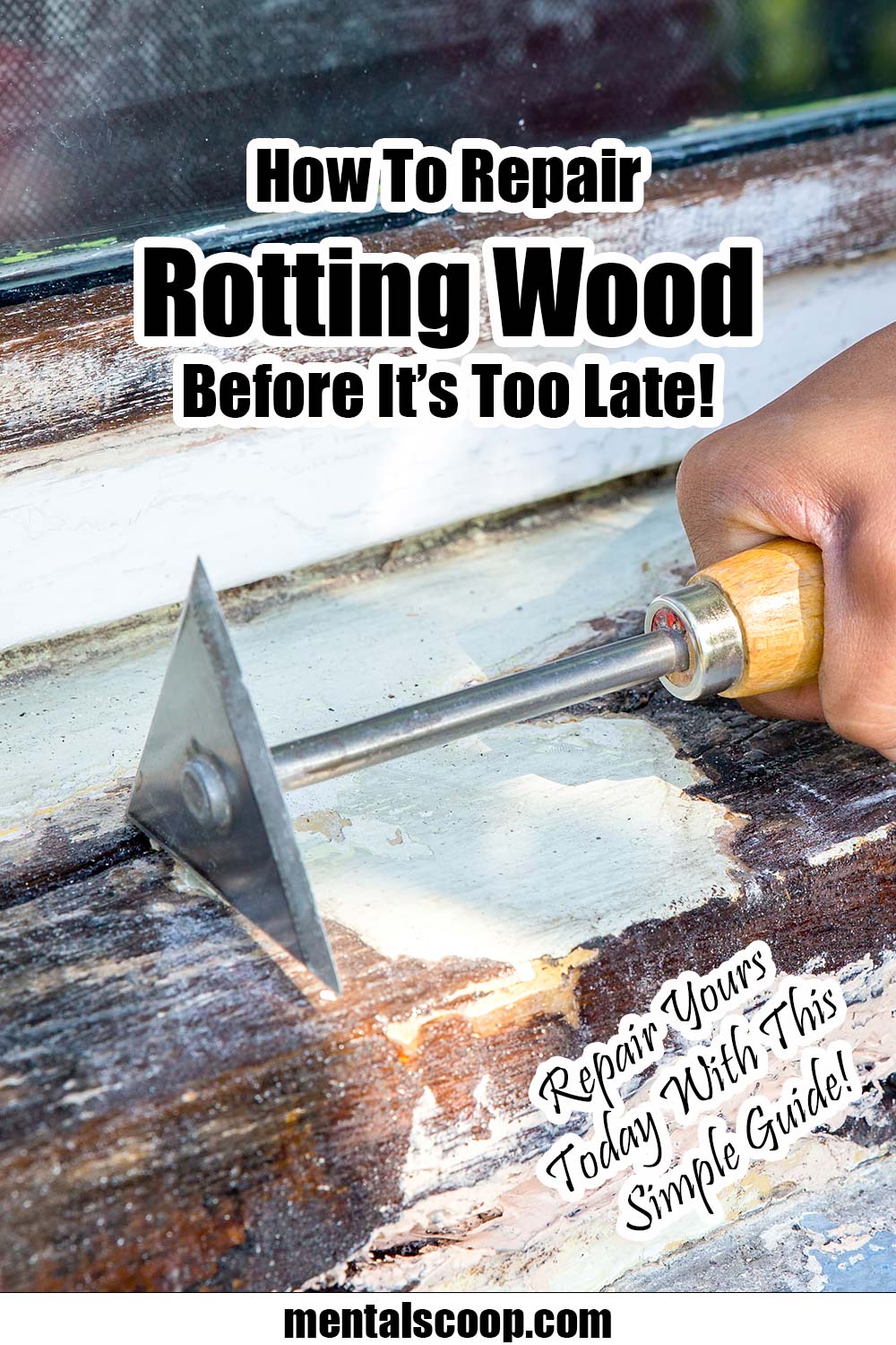 How To Repair Rotten Wood Correctly! Mental Scoop