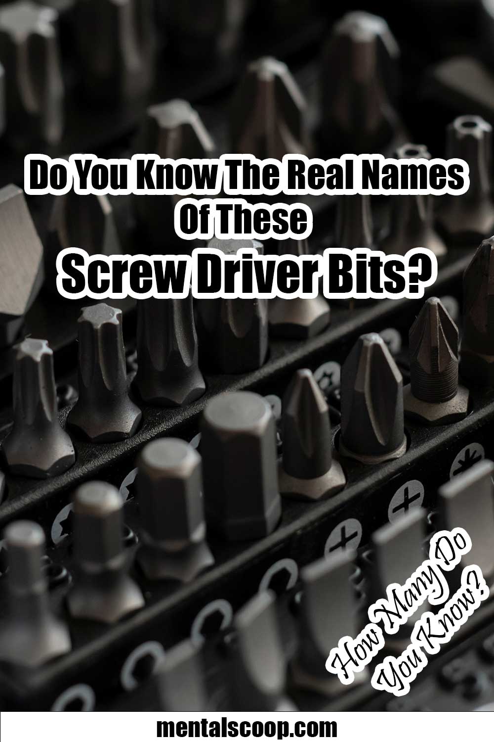 DoYouKnowTheRealNamesOfTheseScrewDriverBits1 Mental Scoop