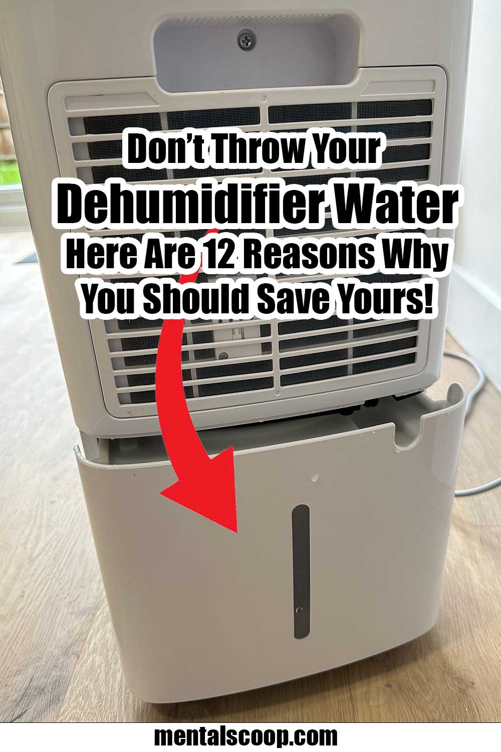 Don’t Throw Your Dehumidifier Water, Here Are 12 Reasons Why You Should Save Yours! Mental Scoop