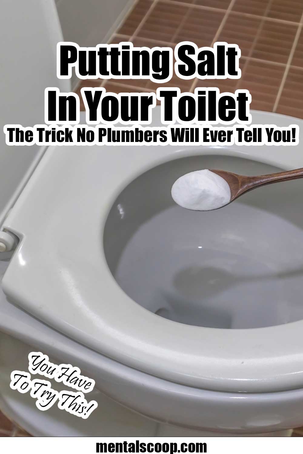 Putting Salt In Your Toilet Over Night! The Trick No Plumbers Will Ever ...