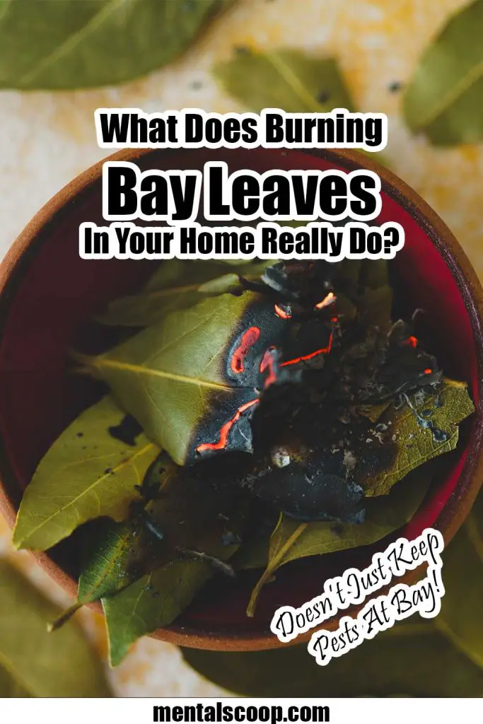 What does burning bay leaves in your home really do mental scoop