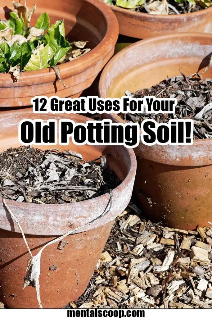 12 Great Uses For Your Old Potting Soil! Mental Scoop