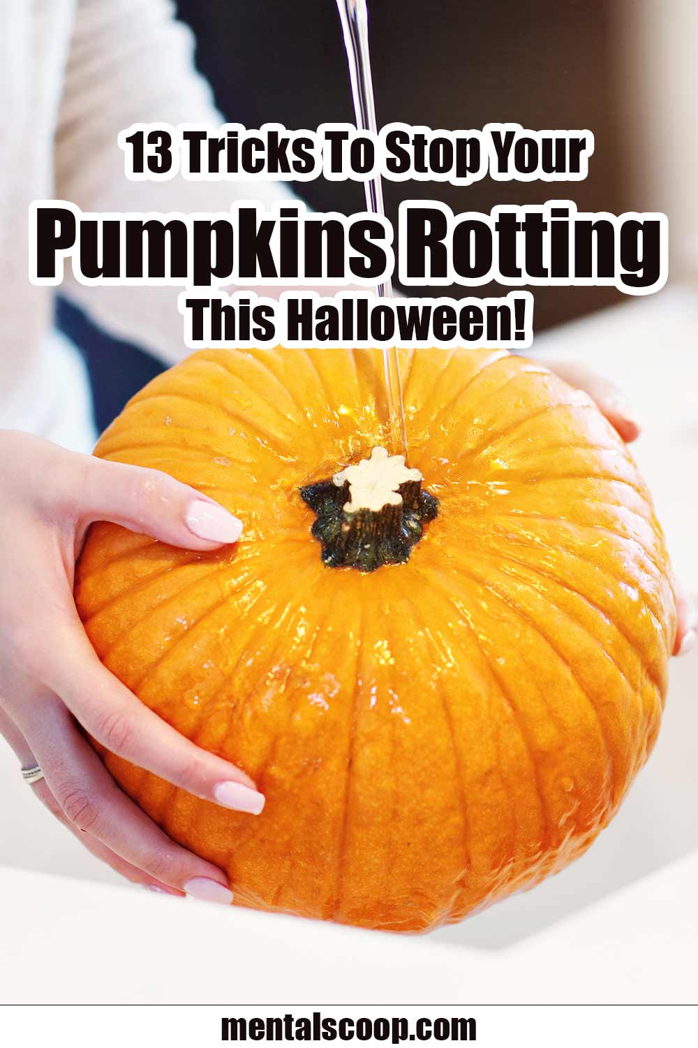 13 Ways To Stop Your Pumpkins Rotting This Halloween! Mental Scoop