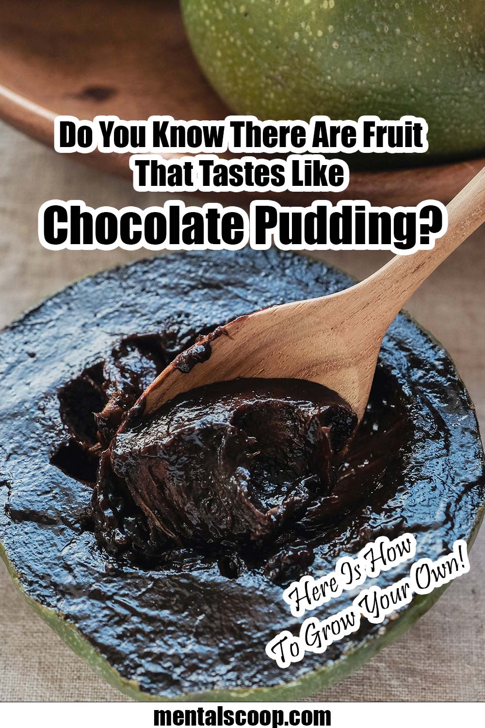 Do You Know There Are Fruit That Tastes Like Chocolate Pudding? & Here