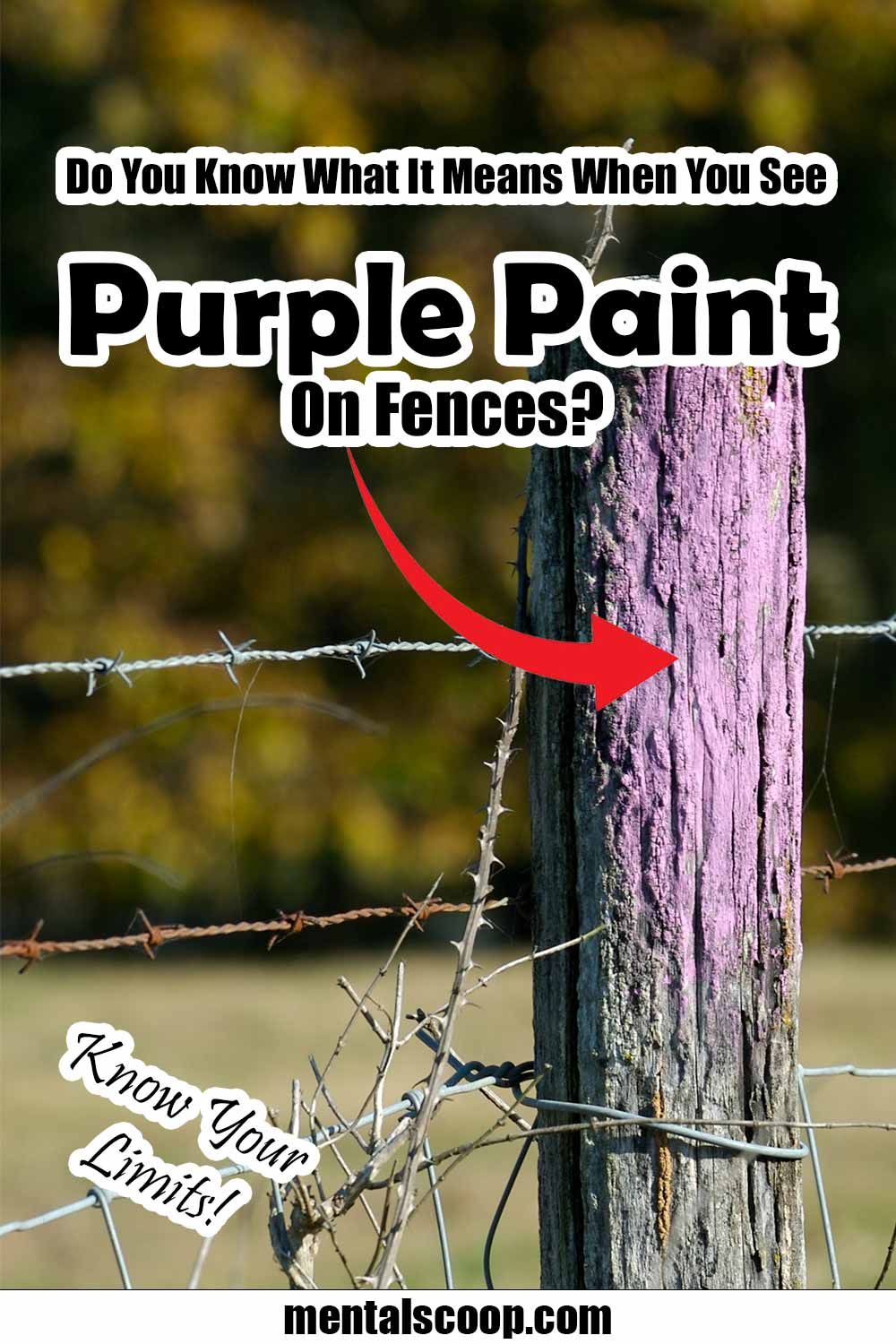 Do You Know What It Means When You See Purple Paint On Fences? Mental