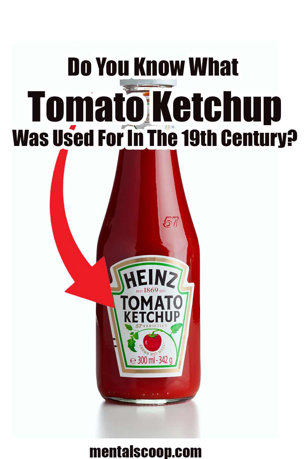 Do You Know What Ketchup Was Used For In The 19th Century? Mental Scoop