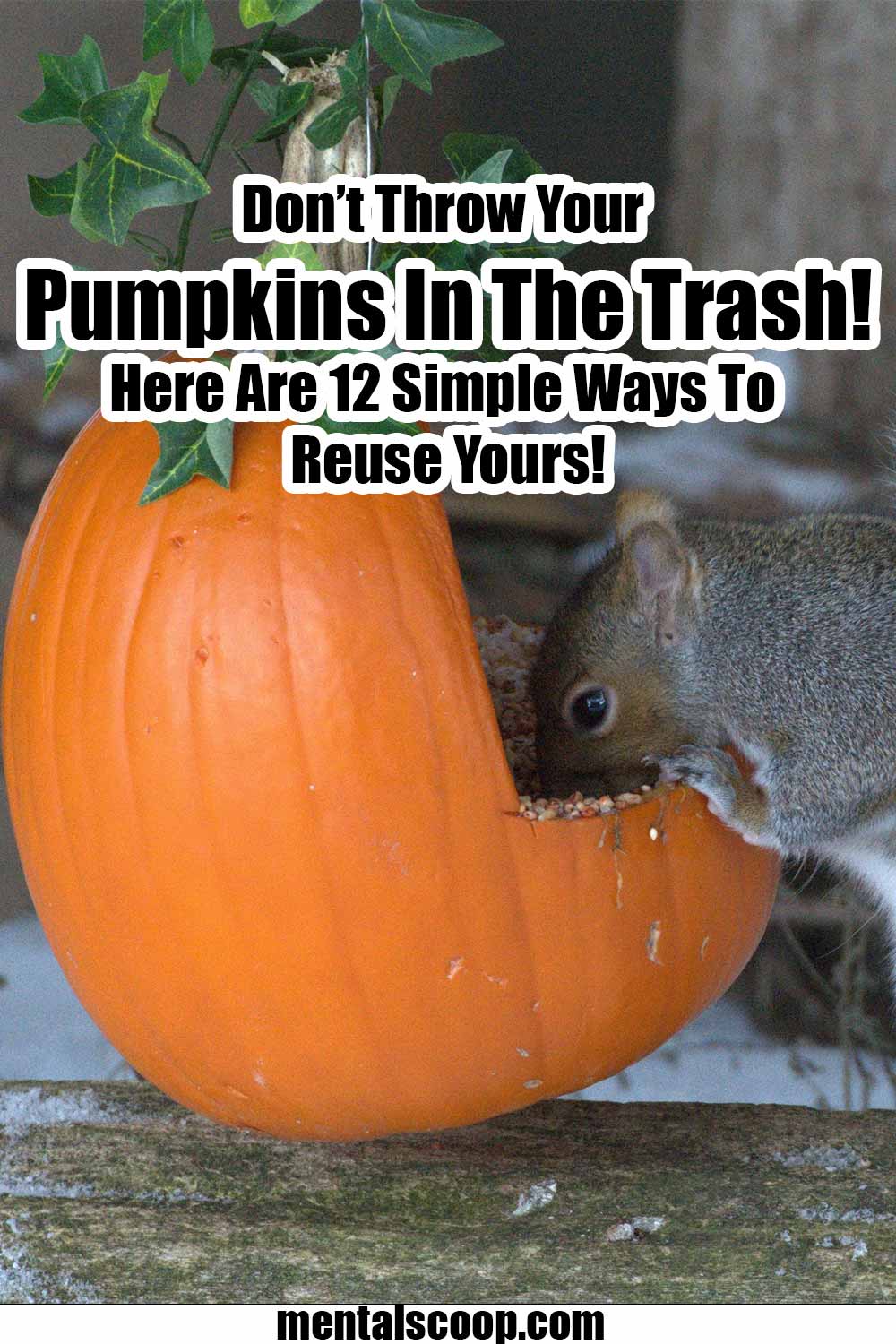 Don't Throw Your Pumpkins In The Trash! Here Are 12 Ways To Reuse Yours