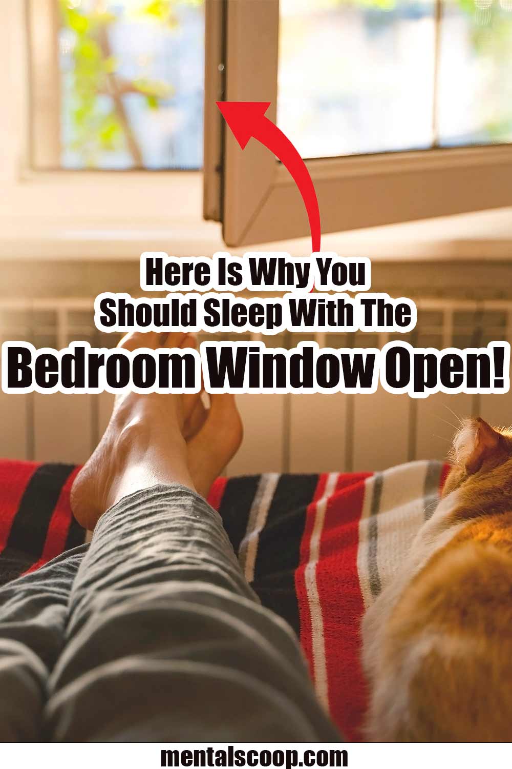 Why You Should Sleep With The Bedroom Window Open! Mental Scoop