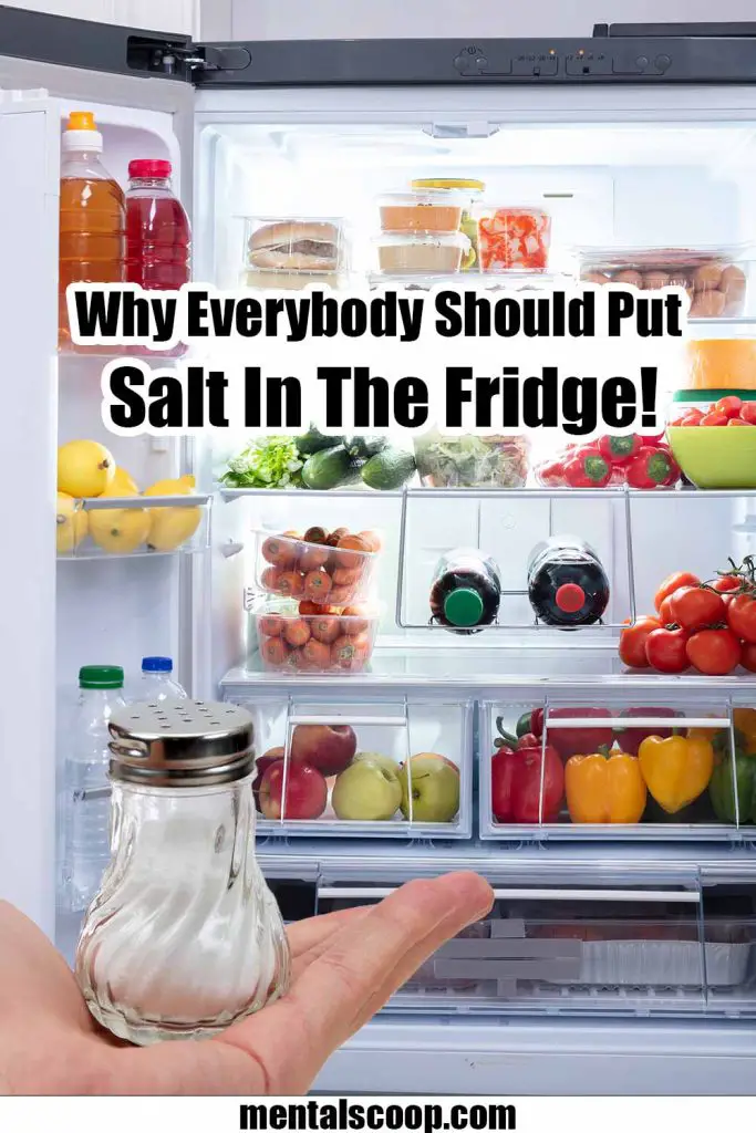 Why Everybody Should Have Salt In The Fridge! Mental Scoop