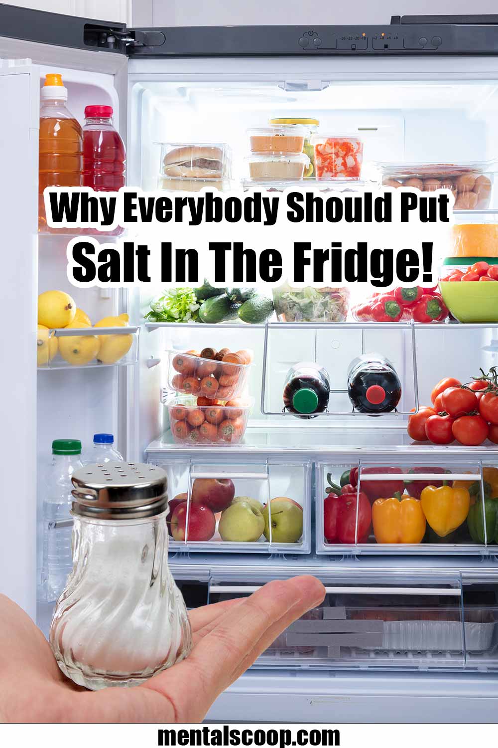 Why Everybody Should Have Salt In The Fridge! Mental Scoop