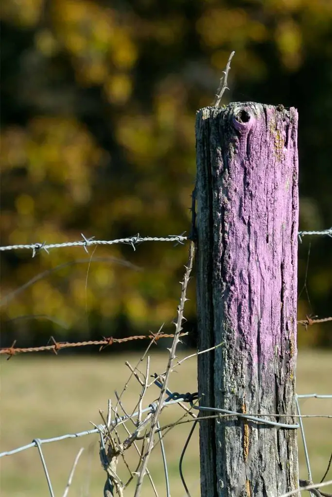 Do You Know What It Means When You See Purple Paint On Fences? Mental