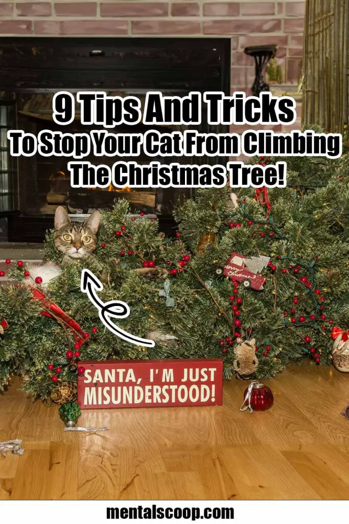 9 Tips And Tricks To Stop Your Cat From Climbing The Christmas Tree
