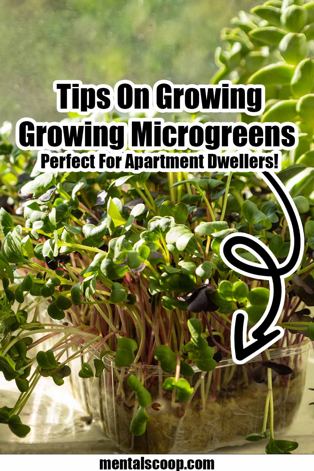 View of How Apartments Are Going Green: 7 Environmental Design Features to Look ...